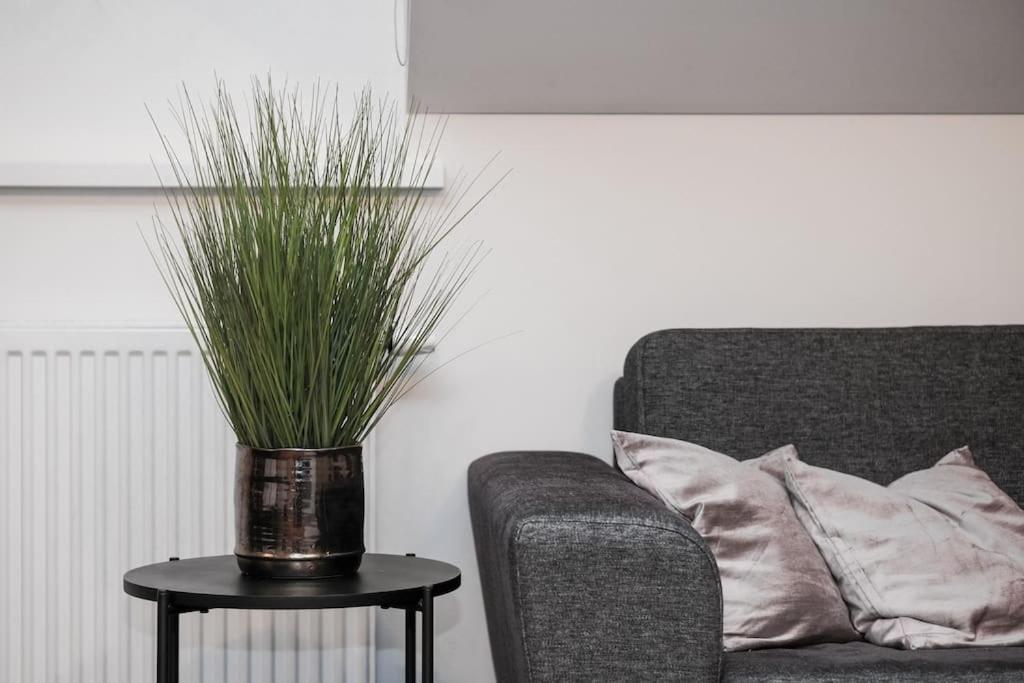 #Stayhere - Spacious Luxury Town Hall 3Bdr Apartment 维尔纽斯 外观 照片